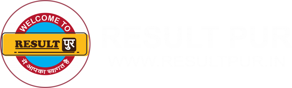 ResultPur Logo