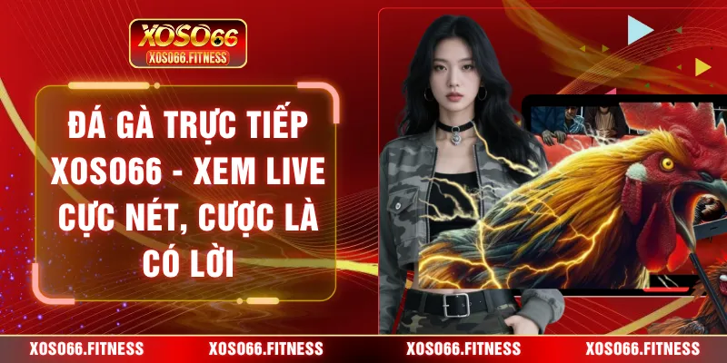 Đá gà trực tiếp