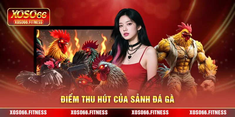 Điểm thu hút của sảnh Đá Gà