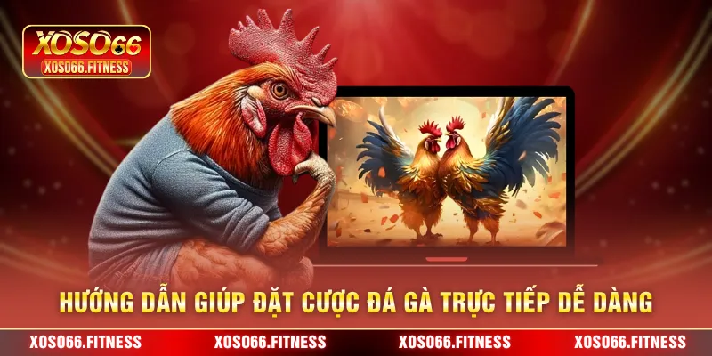 Hướng dẫn giúp đặt cược đá gà trực tiếp dễ dàng